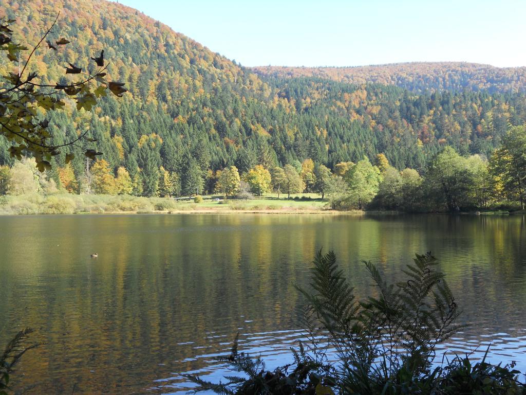 Chalet au bord du lac de Longemer Xonrupt-Longemer Chambre photo