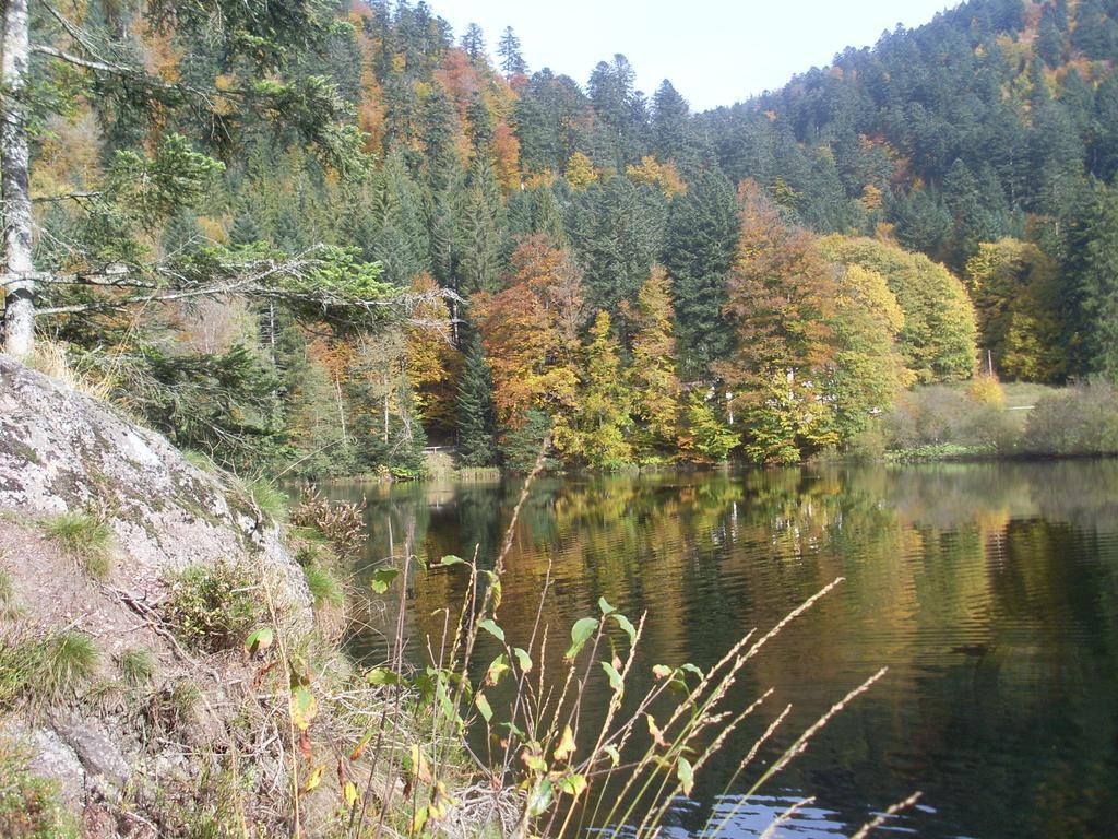 Chalet au bord du lac de Longemer Xonrupt-Longemer Chambre photo