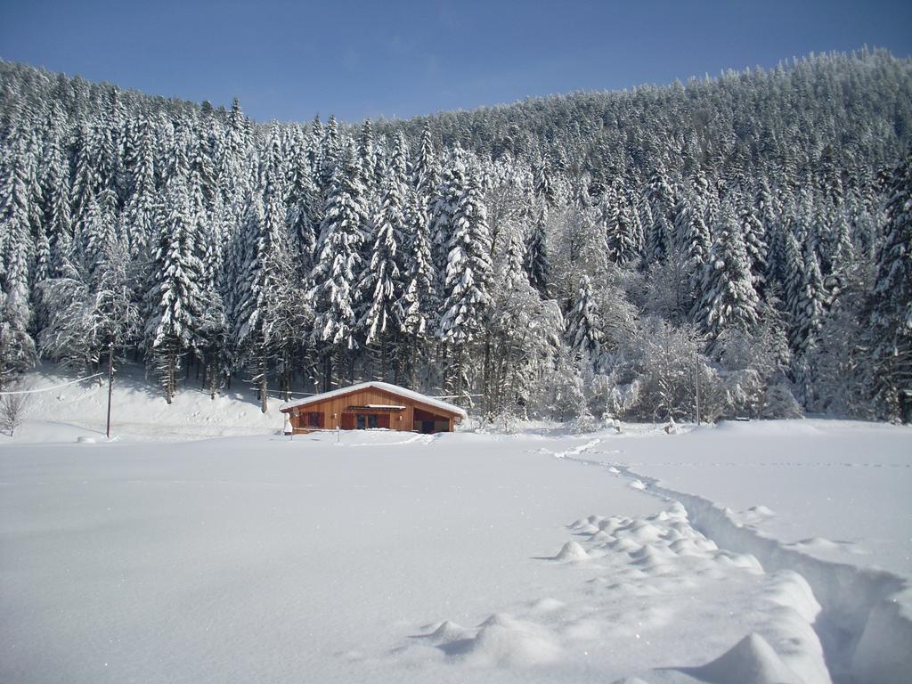 Chalet au bord du lac de Longemer Xonrupt-Longemer Chambre photo