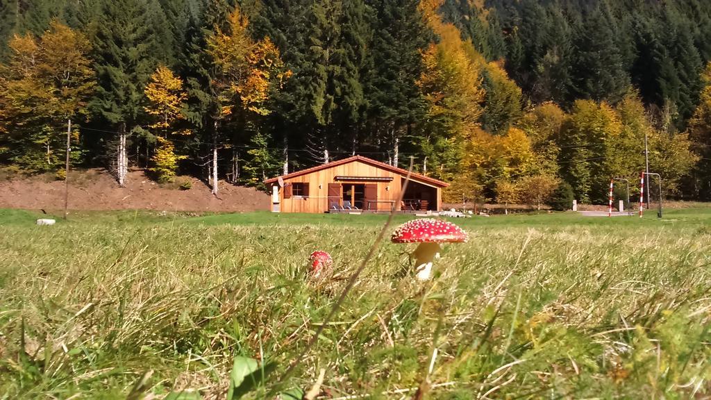 Chalet au bord du lac de Longemer Xonrupt-Longemer Extérieur photo