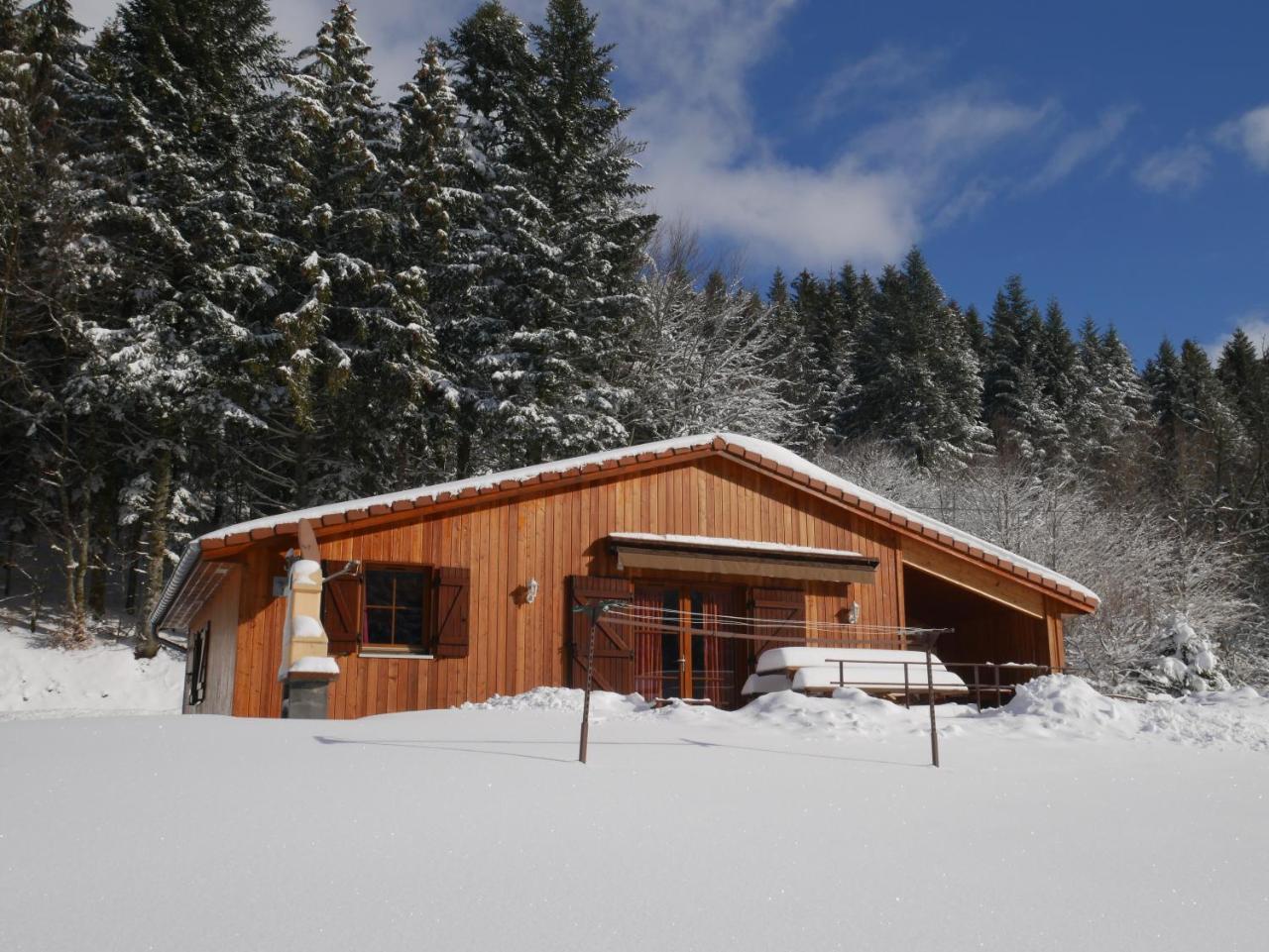 Chalet au bord du lac de Longemer Xonrupt-Longemer Extérieur photo