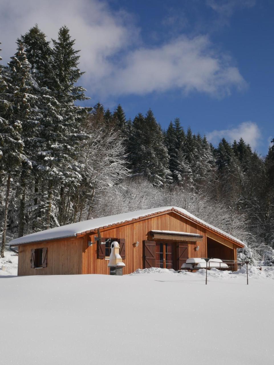 Chalet au bord du lac de Longemer Xonrupt-Longemer Extérieur photo